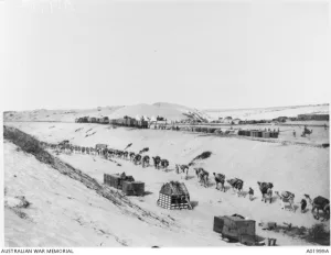Camel train carrying supplies at Negiliat