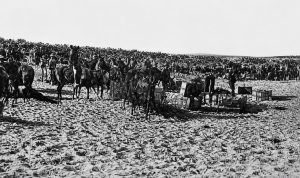 Concentration Point for Attack on El Arish